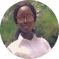 Johnson Abidemi